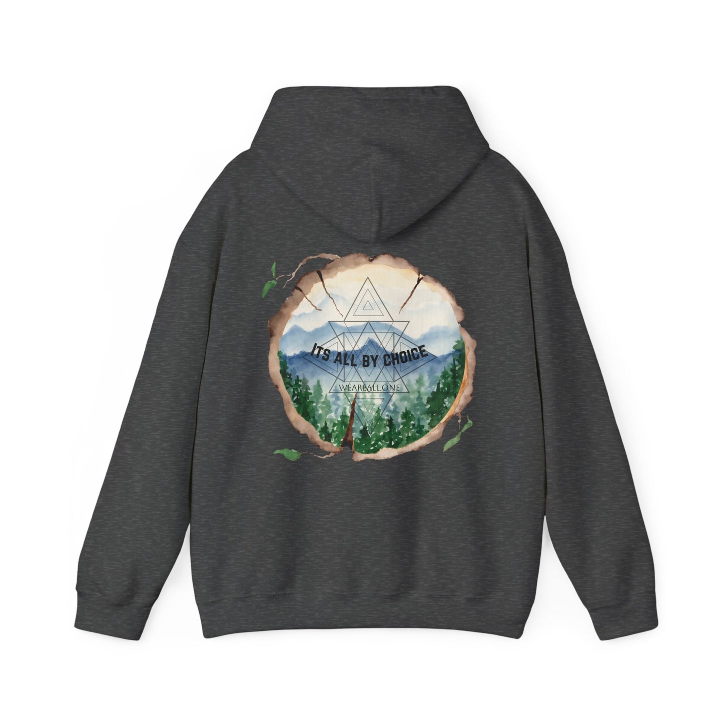 It's All By Choice Hooded Sweatshirt