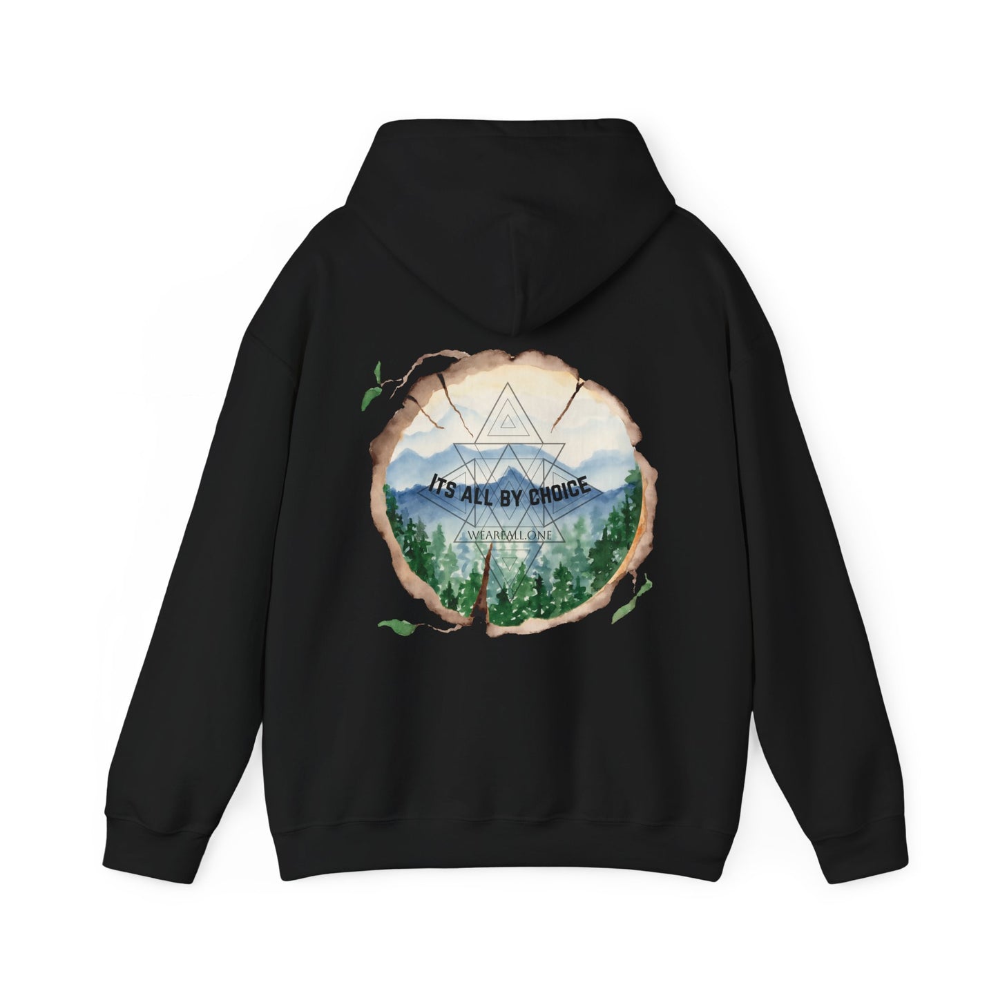 It's All By Choice Hooded Sweatshirt