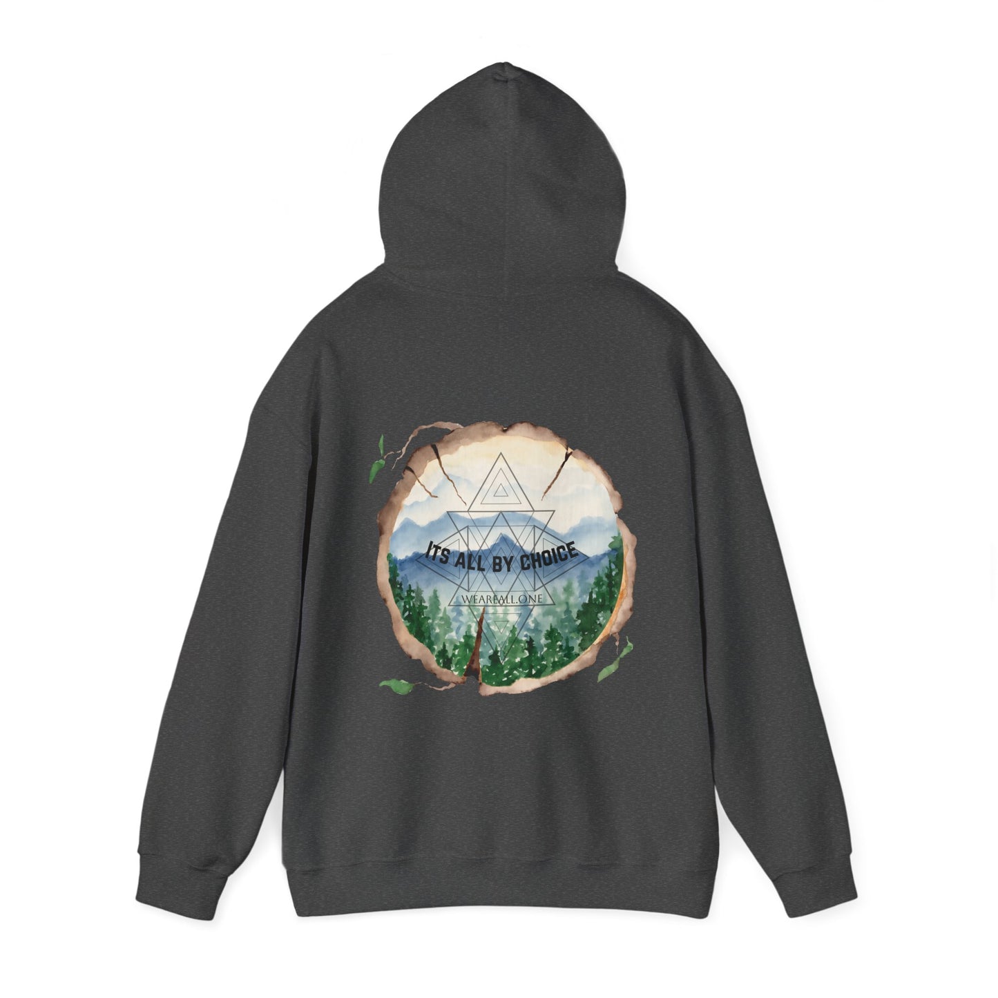 It's All By Choice Hooded Sweatshirt