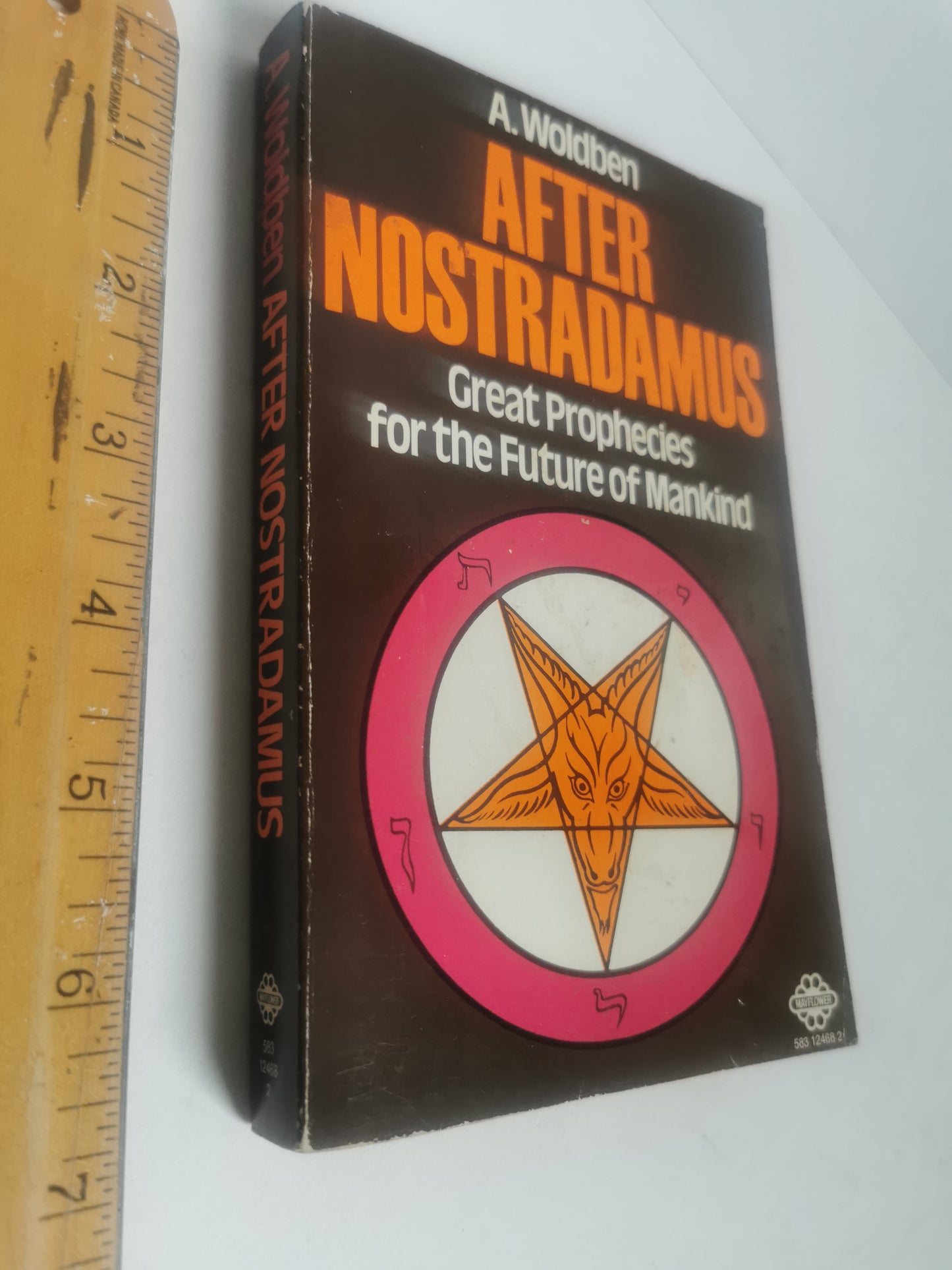 After Nostradamus - Great Prophecies for the Future of Mankind