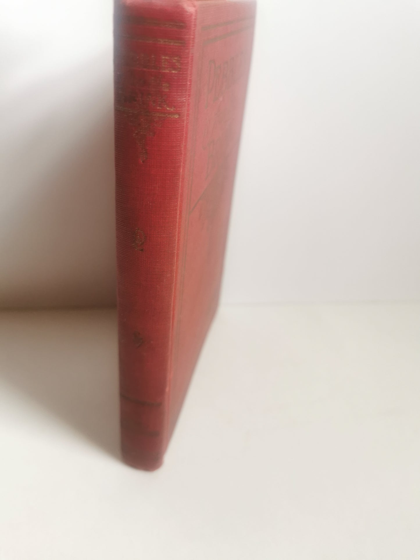 Pebbles From The Brink