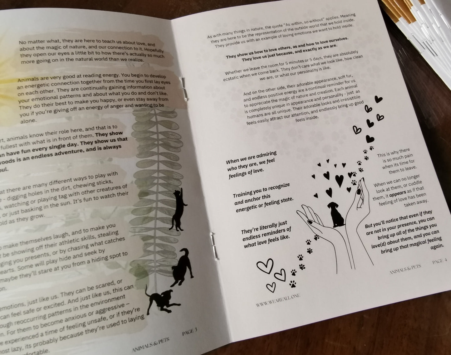 Animal Friends Publication