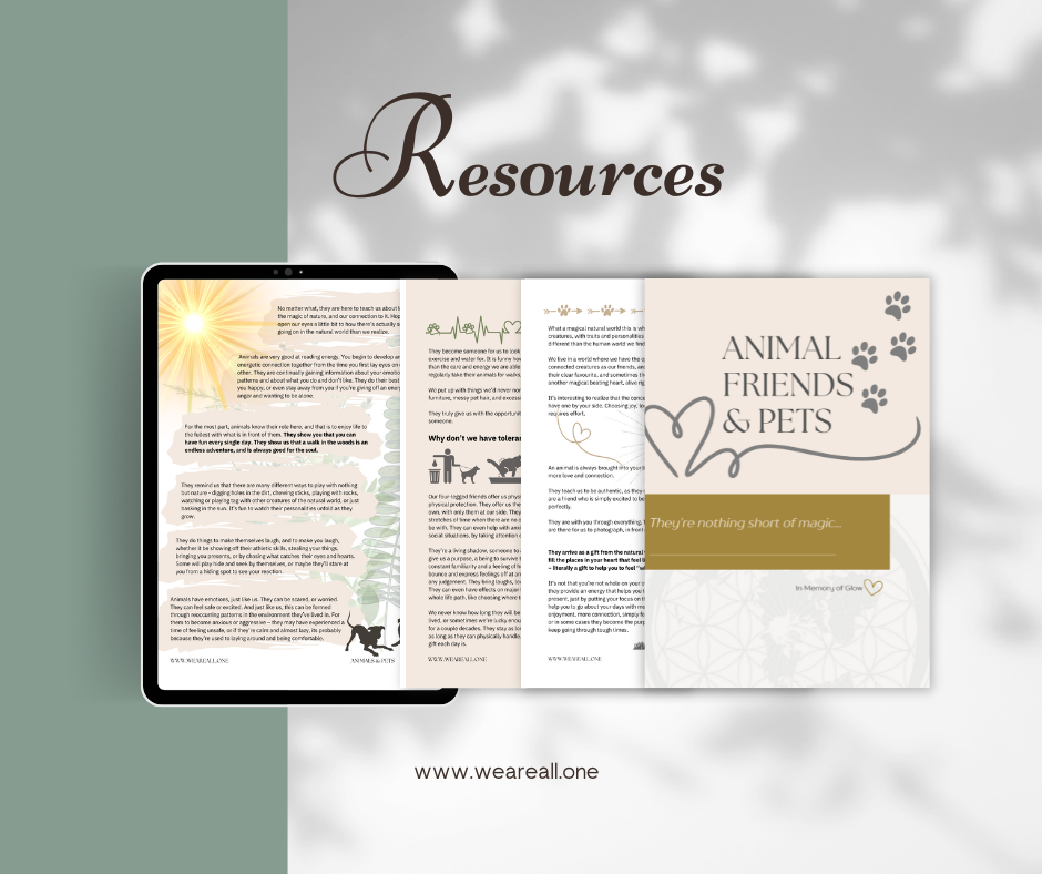 Animal Friends & Pets